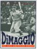 DiMaggio__the_last_American_knight