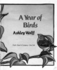 A_year_of_birds
