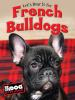 Let_s_hear_it_for_French_bulldogs