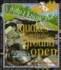 Quakes_split_the_ground_open
