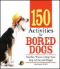150_activities_for_bored_dogs
