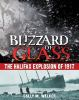Blizzard_of_glass