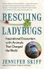 Rescuing_ladybugs