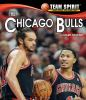 The_Chicago_Bulls