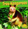 Tree_kangaroos