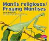 Mantis_religiosa__