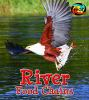 River_food_chains