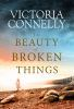 The_beauty_of_broken_things