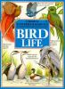 Mysteries___marvels_of_bird_life