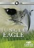 Jungle_eagle