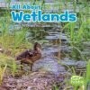 All_about_wetlands