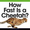 How_fast_is_a_cheetah_
