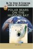 Polar_bears_on_the_Hudson_Bay