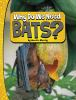 Why_do_we_need_bats_