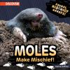 Moles_make_mischief_