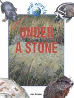 Under_a_stone
