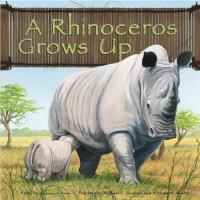 A_rhinoceros_grows_up