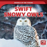 Swift_snowy_owls