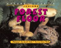 Forest_floor