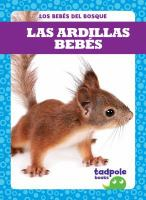 Las_ardillas_bebe__s