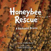 Honeybee rescue