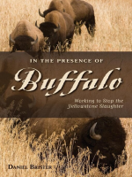 In_the_Presence_of_Buffalo