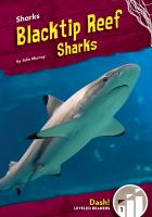 Blacktip_reef_sharks
