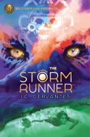 Storm_runner